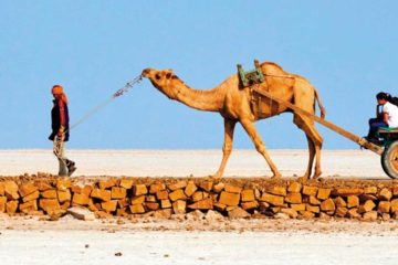 Tourist Information about Gujarat
