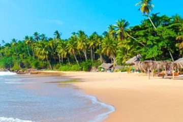 Ultimate Travel Guide for Indians Visiting Sri Lanka
