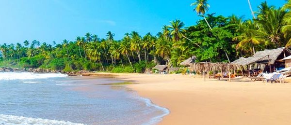 Ultimate Travel Guide for Indians Visiting Sri Lanka