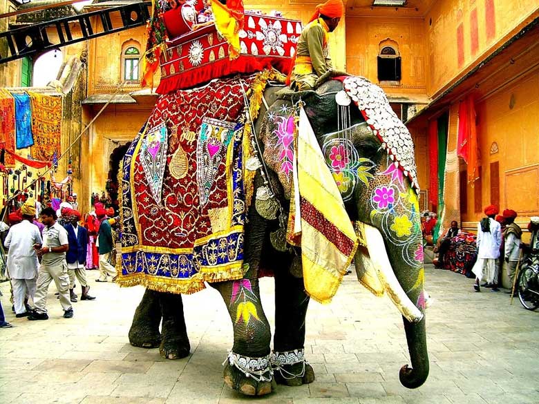Elephant Festival in Rajasthan