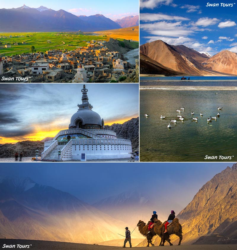 leh tourism photos