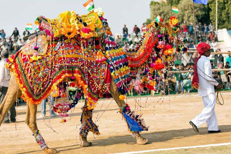 The Bikaner Festival