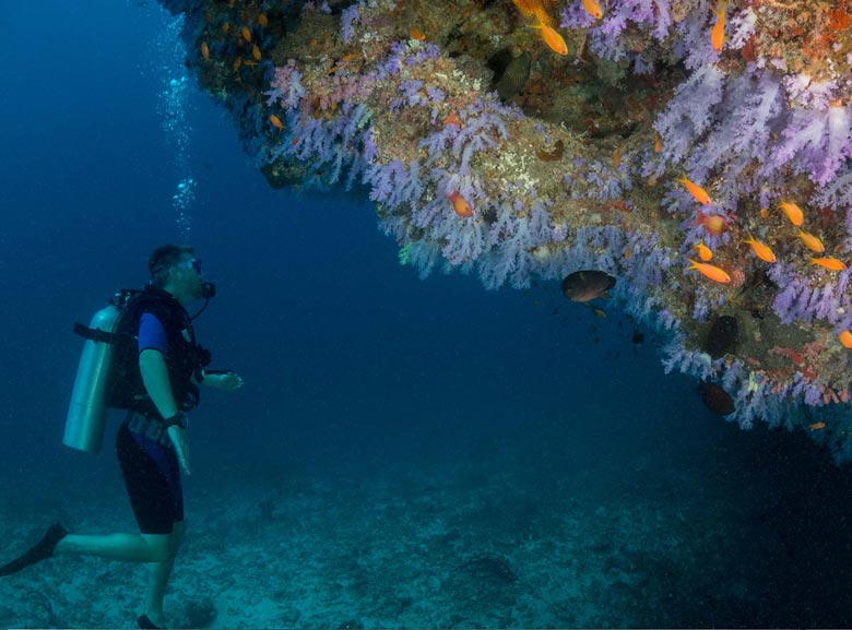 Night diving in Maldives