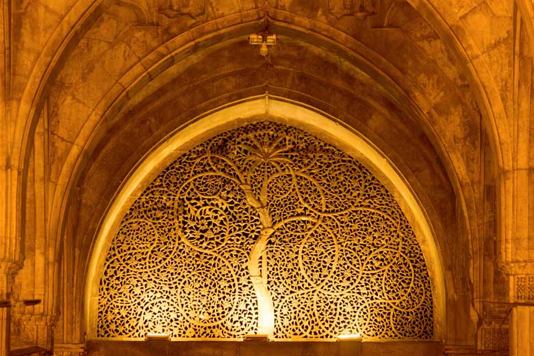 Sidi Saiyad Mosque Ahmedabad Gujarat