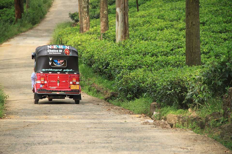 Tuk-tuks and Taxis in Sri Lanak