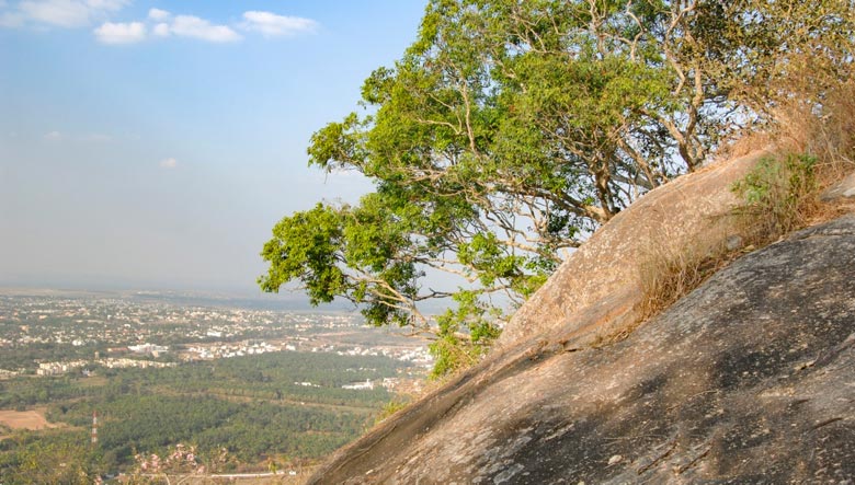 Chamundi Hill 