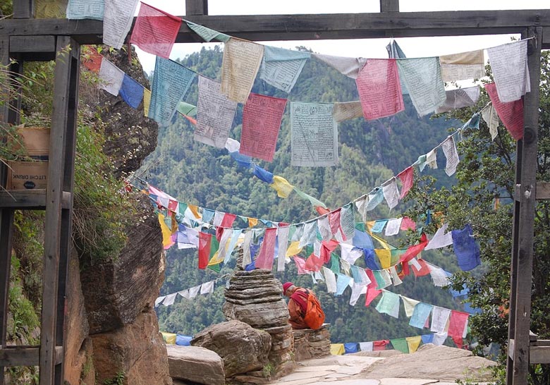 Wildlife Paradise in Bhutan