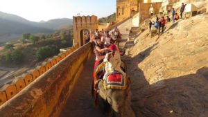 amer fort elephant ride