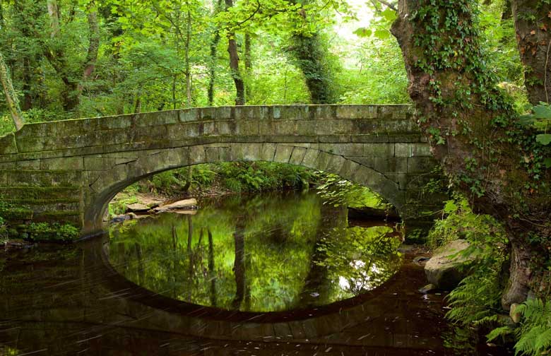 Nature Trail 