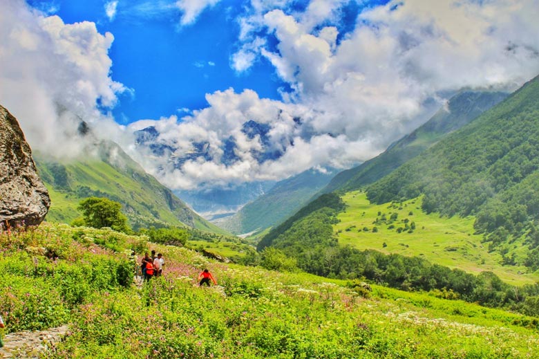 Valley of Flowers National Park