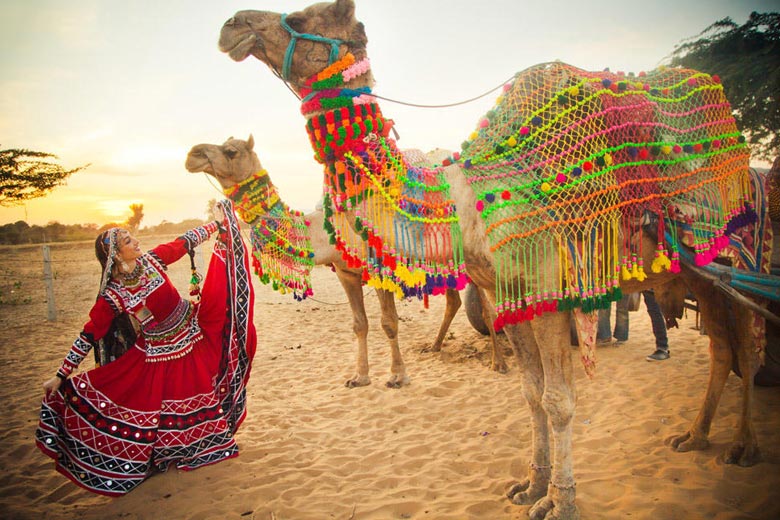 Image result for culture of rajasthan