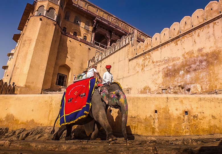 Elephant Safari in Rajasthan