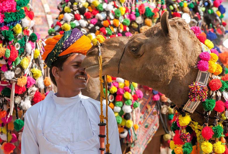 Explore Pushkar Camel Fair
