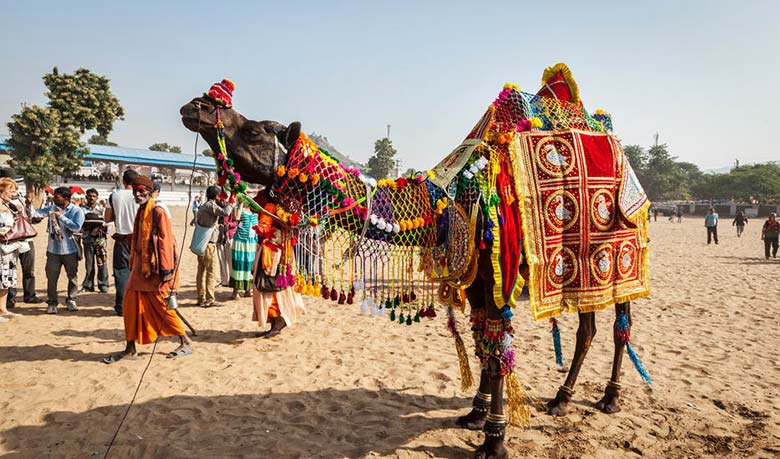 Festivals in Pushkar