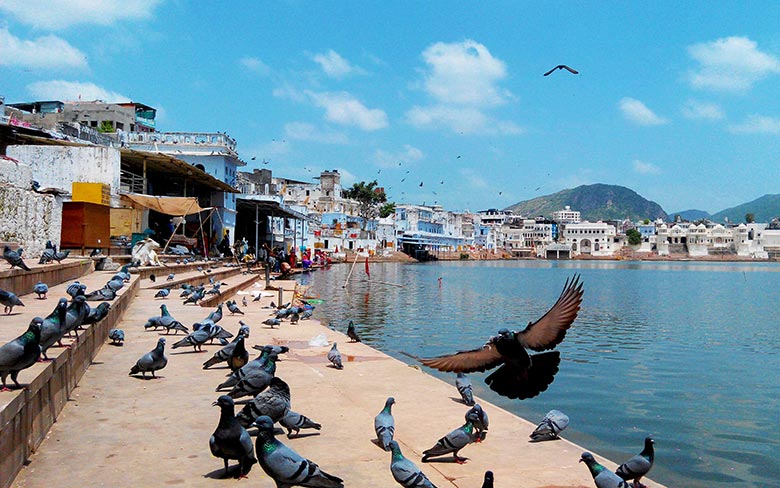 Tourist Places in Pushkar