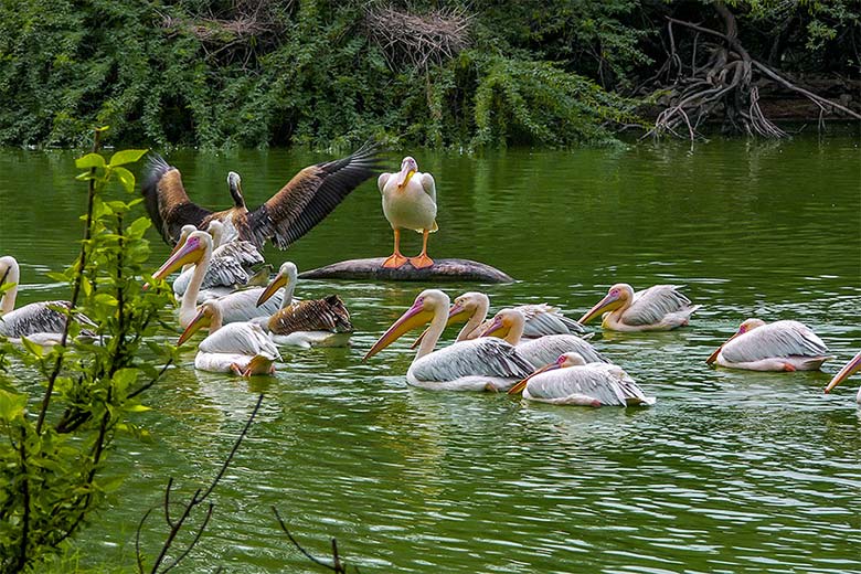 Wildlife Sanctuary