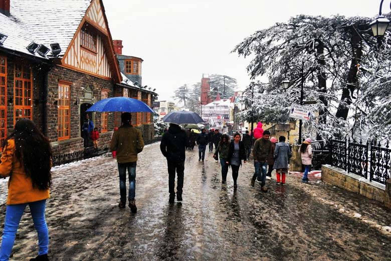 shimla trip cost for 2 days