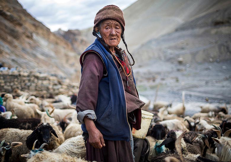 Culture of Leh Ladakh