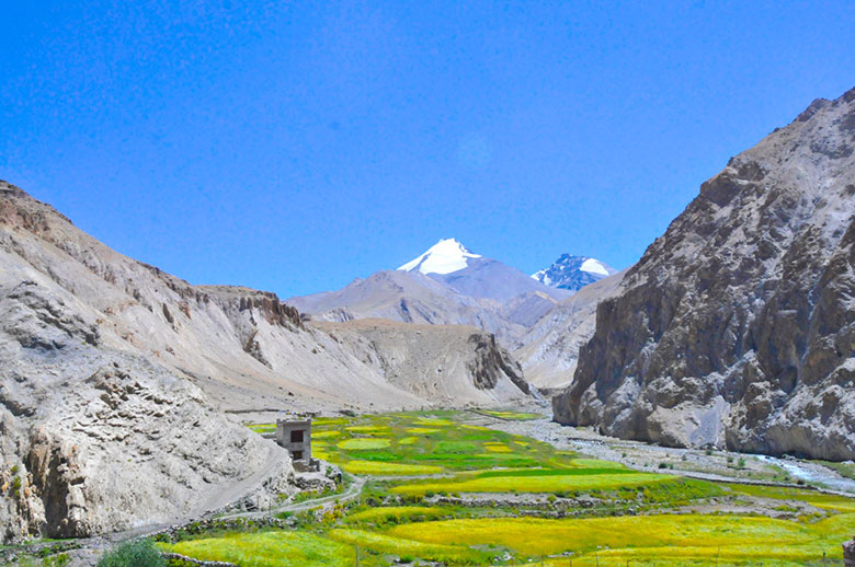 markha valley trek ladakh india