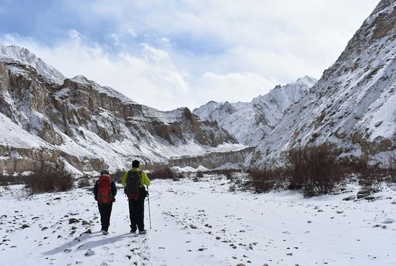 Snow Leopard - A Popular Winter Trek in Ladakh