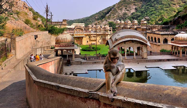 Galtaji Temple