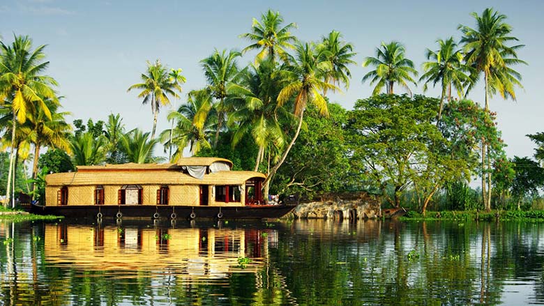 Kerala Trip in 7 Days