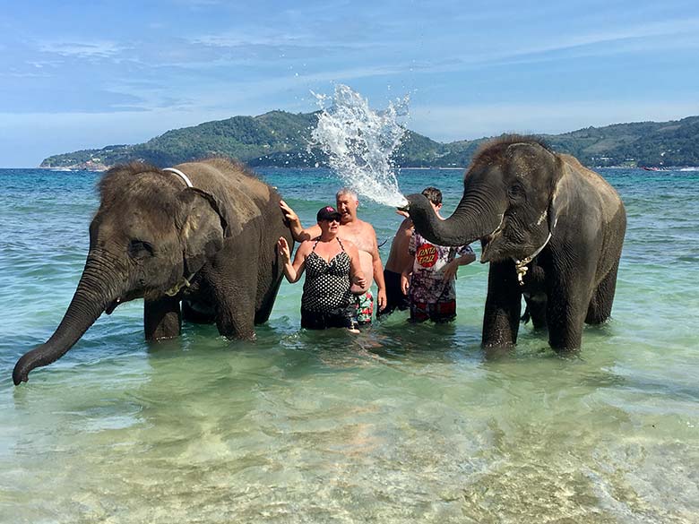 Elephant Beach