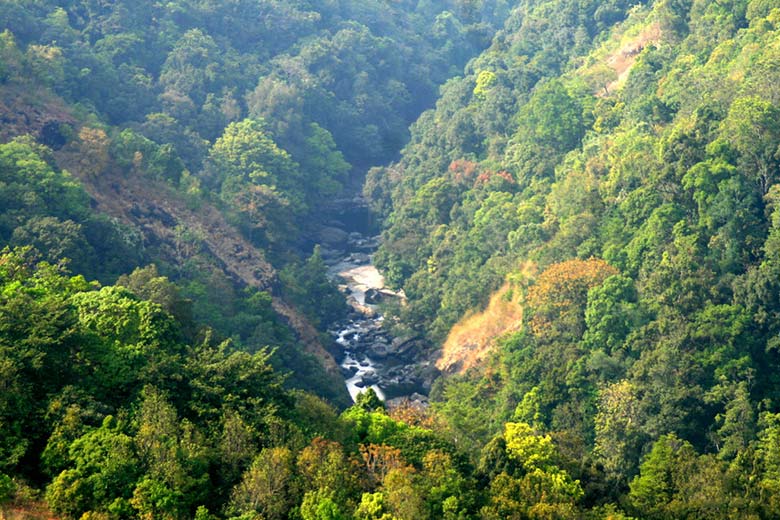 Silent Valley National Park