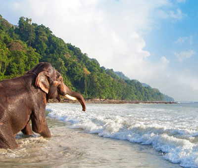 Magical Andaman Tour with Family