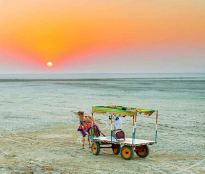 Best of Gujarat Tour