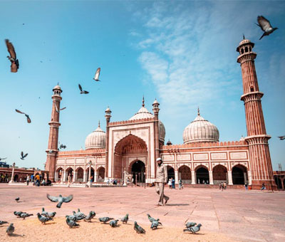 Delhi Tour Packages for Family