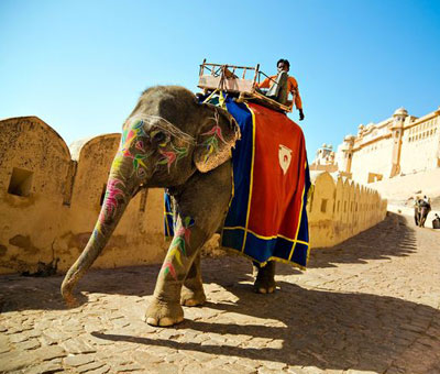 Golden Triangle Tour with Pushkar