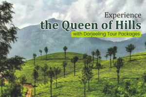 Experience the Queen of Hills with Darjeeling Tour Packages