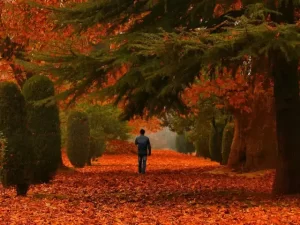 Kashmir During The Autumn Months: 