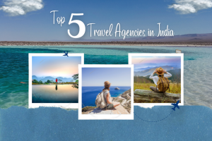 Top 5 Travel Agencies in India
