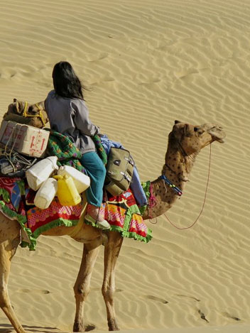 Rajasthan Tour Packages