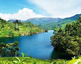 Magnificent Kerala Tour Packages from Goa