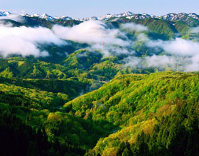 Mussoorie Dhanaulti Tour Packages