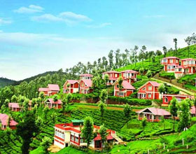 Ooty Holiday Packages