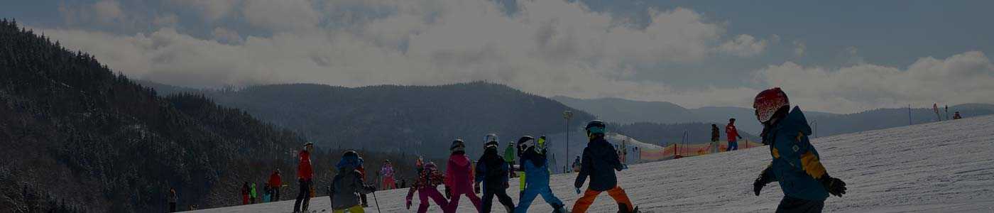 tour packages from chennai to shimla