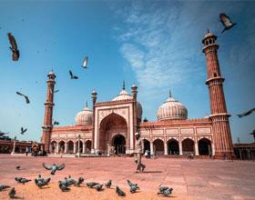 tour packages from delhi