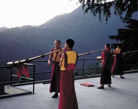 tour packages to dharamsala
