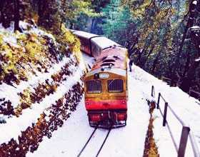 packages to shimla