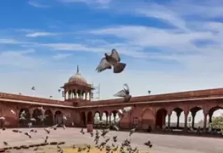 3 Days Jaipur Udaipur Tour