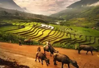 Best of Vietnam Tour