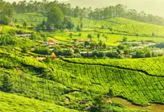Cochin Munnar Tour Package