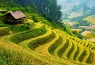 Darjeeling Kalimpong Gangtok Tour