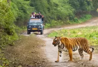 Golden Triangle with Corbett Tour