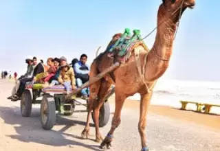 Gujarat Tour from Bangalore