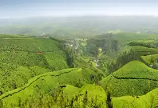 Kerala Tour Packages 3 Nights 4 Days